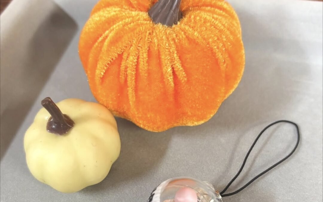 幼稚園祭’２５