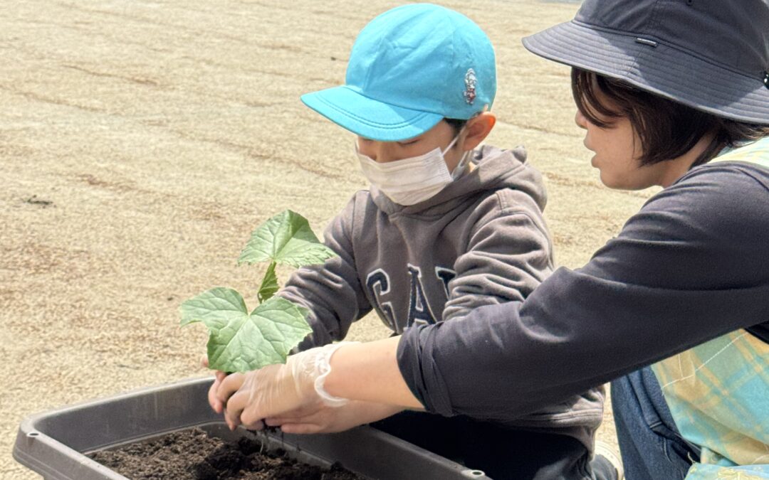 みゆきっこファーム